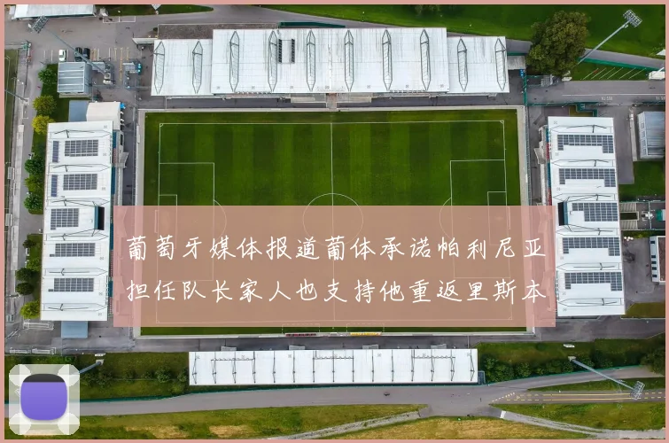 葡萄牙媒体报道葡体承诺帕利尼亚担任队长家人也支持他重返里斯本